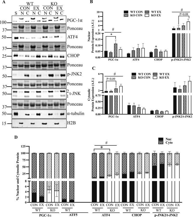 Figure 6