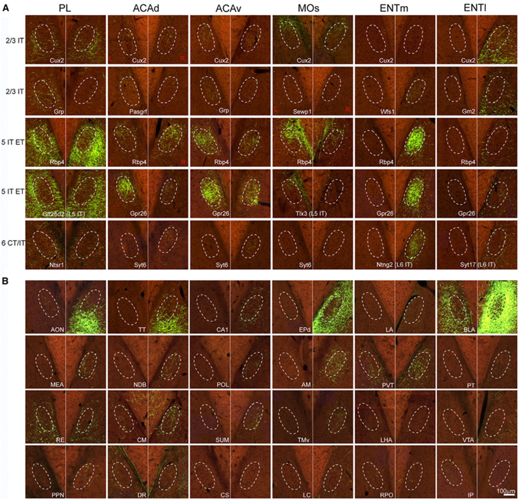 Figure 4.