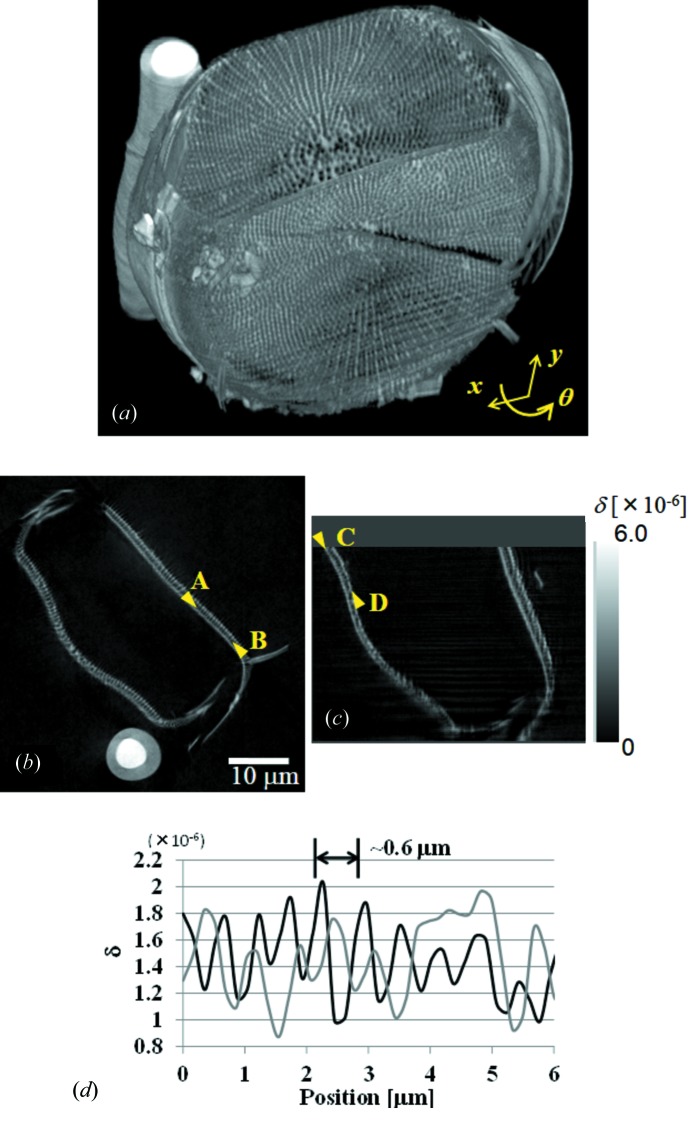 Figure 8