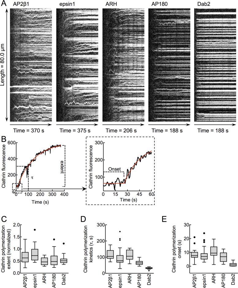 FIGURE 4: