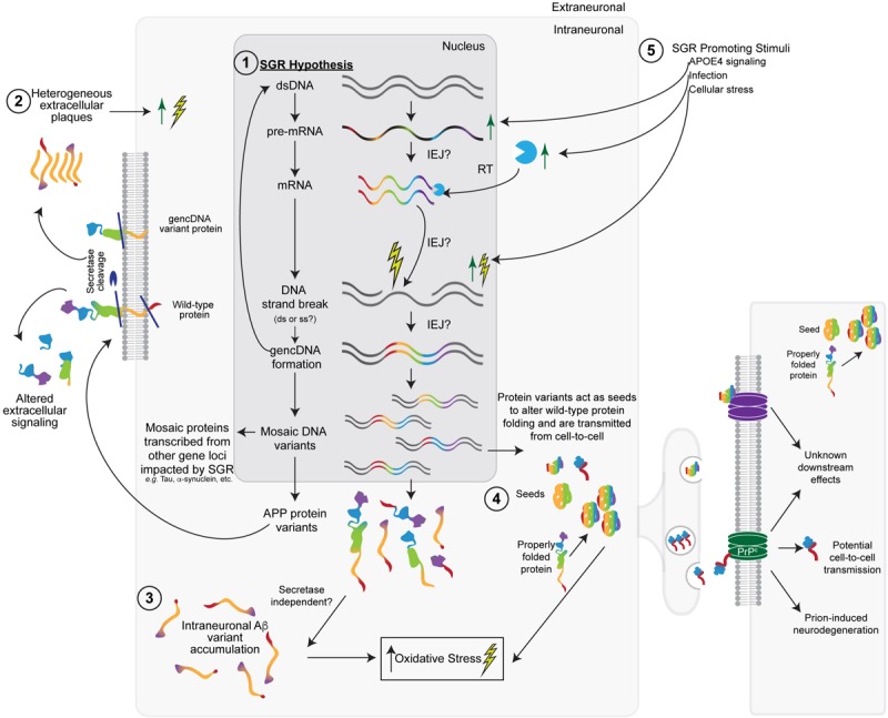 FIGURE 2