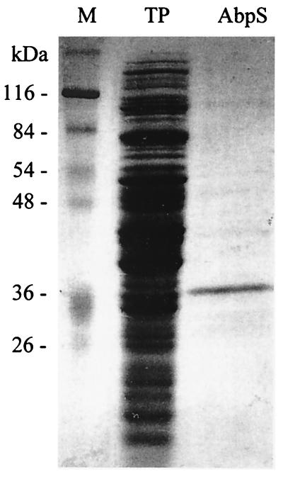 FIG. 1