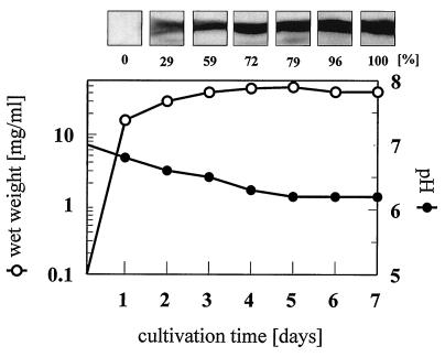 FIG. 6