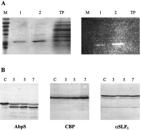 FIG. 5