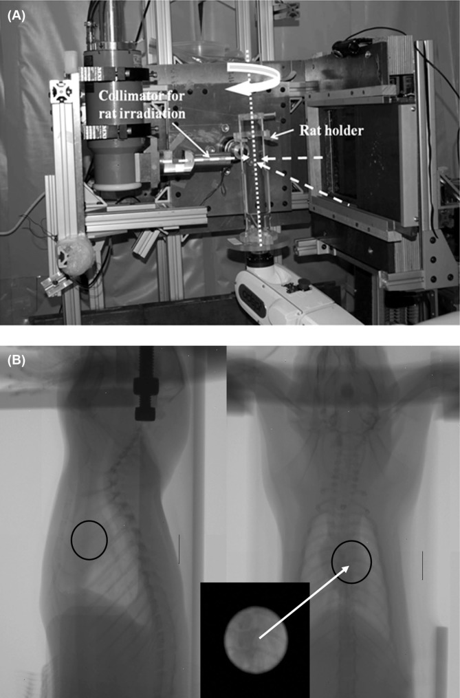 Figure 5: