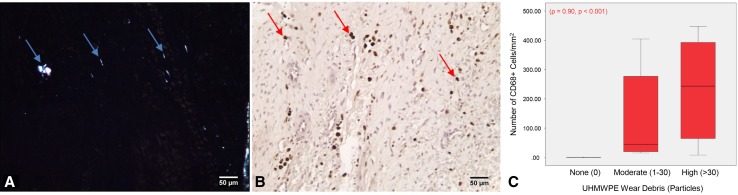 Fig. 3A–C