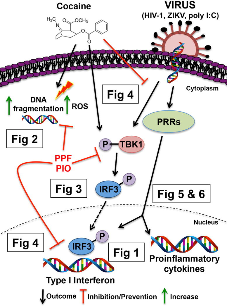 Schematic 1