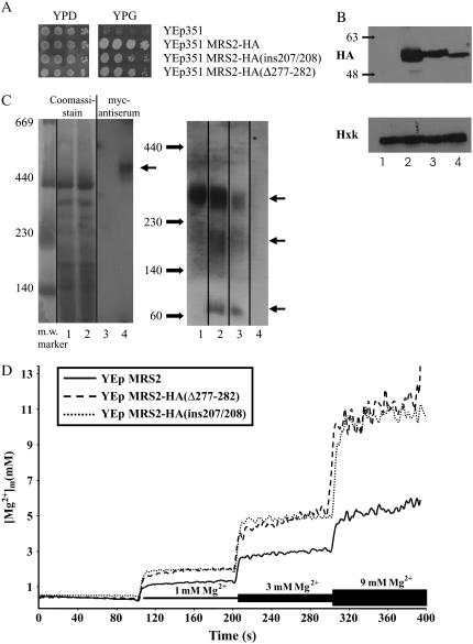 FIGURE 6