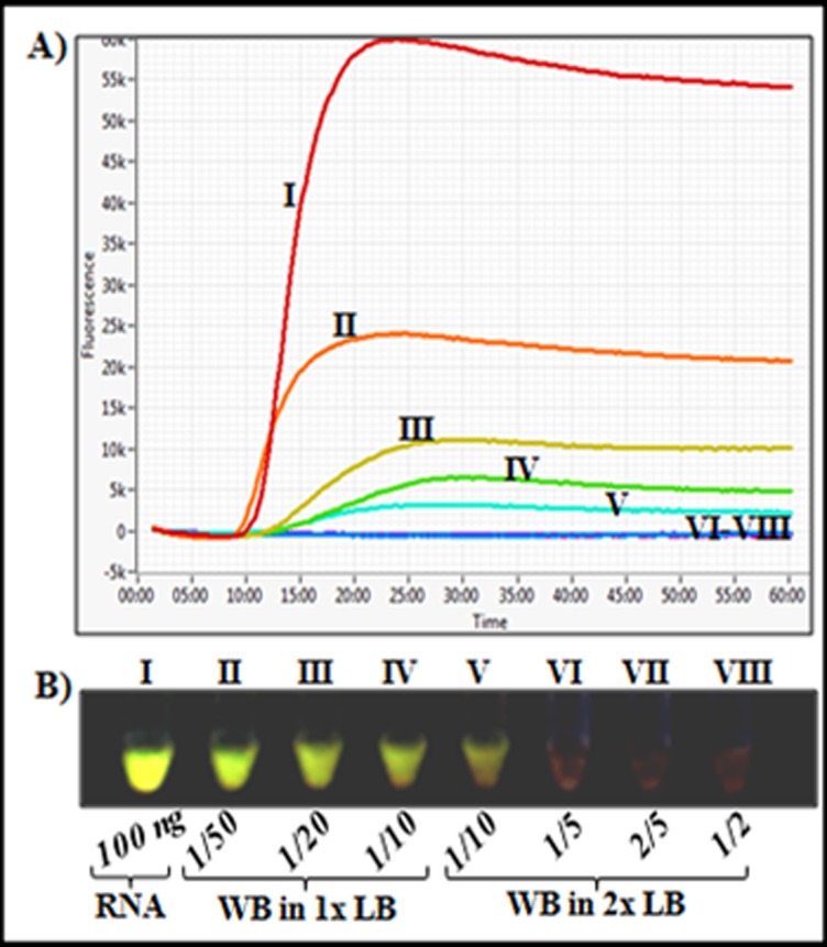 Fig 5