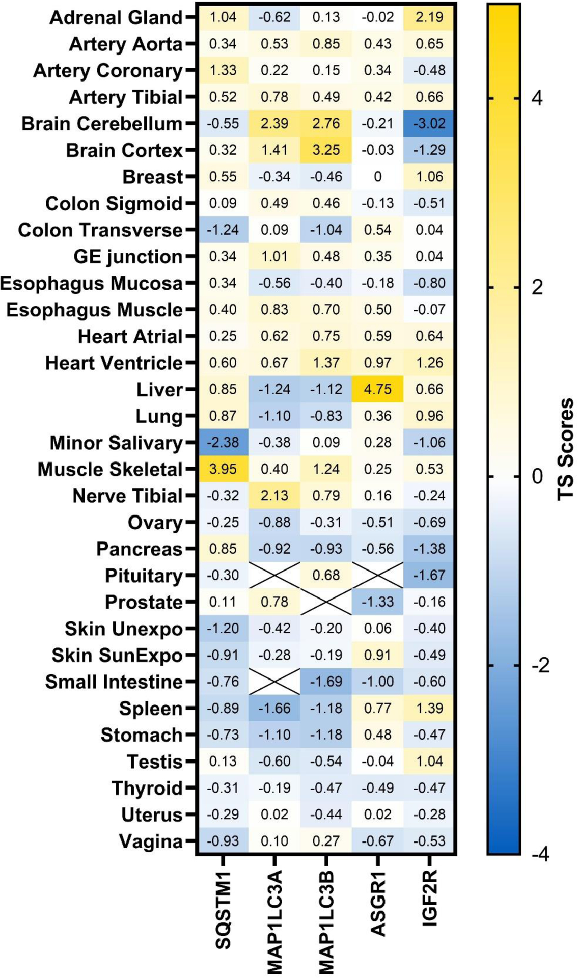 Figure 6: