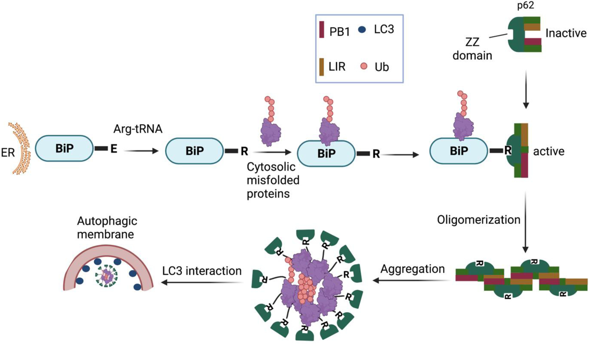 Figure 3: