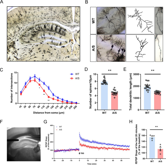 Fig. 3