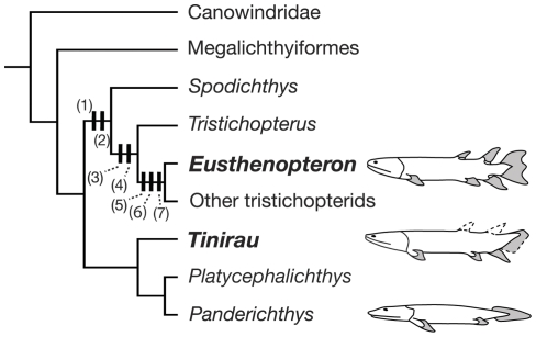 Figure 6