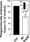 Fig. 5.