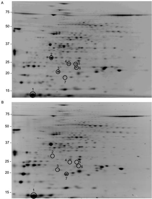 FIG. 4.