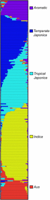 F<sc>igure</sc> 2.—