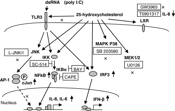 Figure 9 