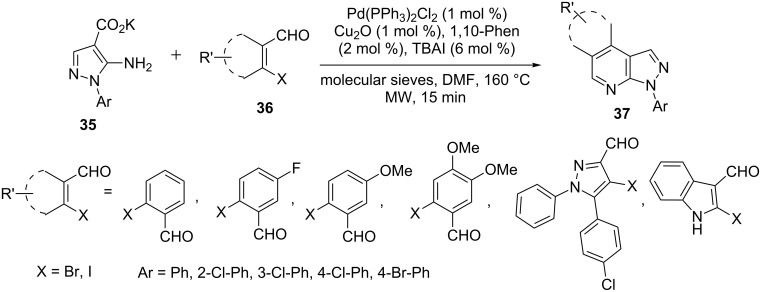 Scheme 6