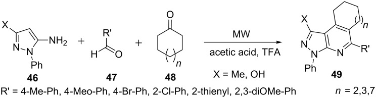 Scheme 9