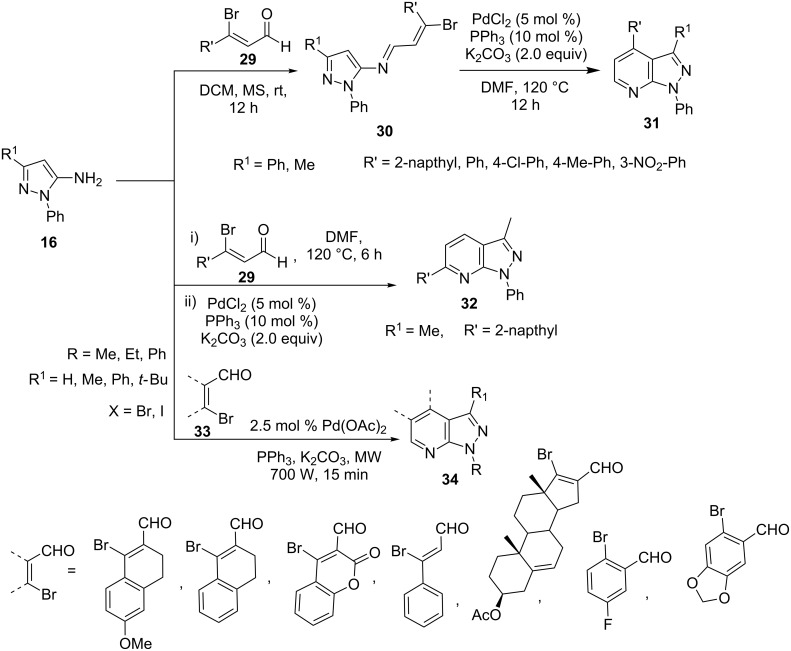 Scheme 5