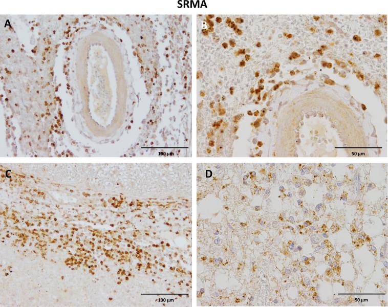 Fig 4