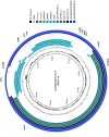 Figure 2—figure supplement 1.