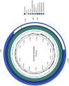 Figure 2—figure supplement 2.