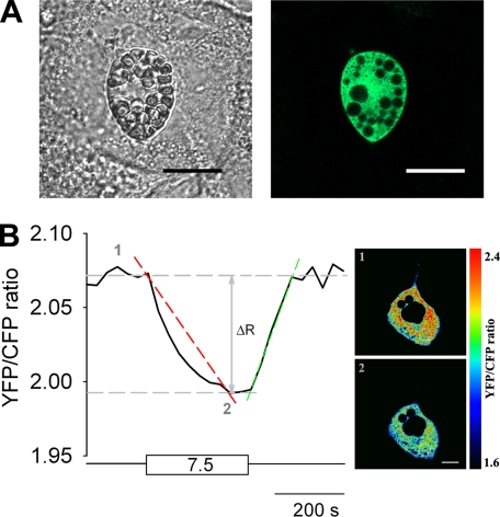 FIGURE 1.