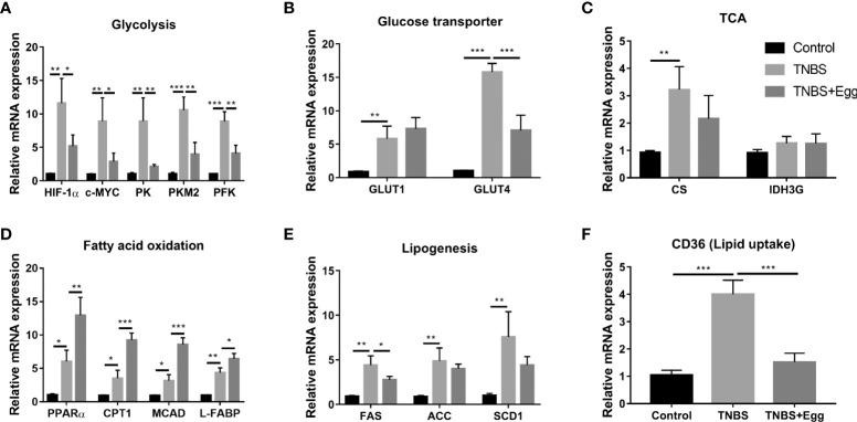 Figure 6