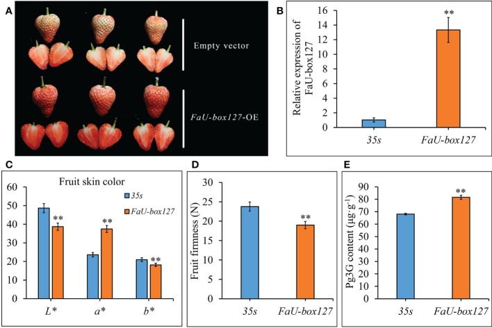 Figure 11