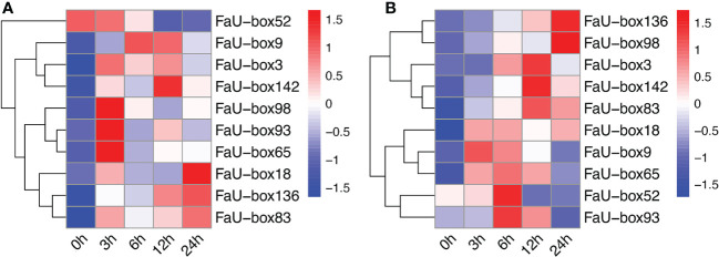 Figure 10