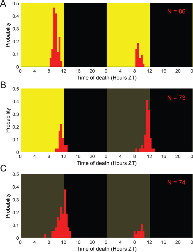 Figure 1—figure supplement 1.