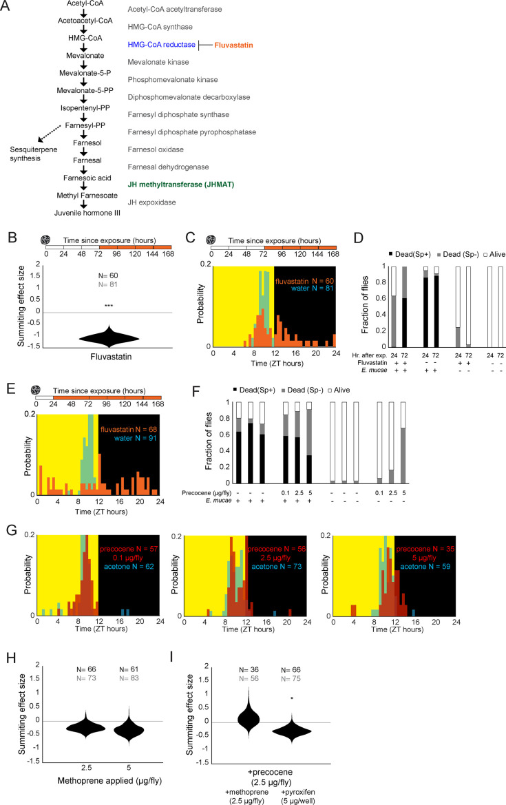 Figure 3—figure supplement 2.