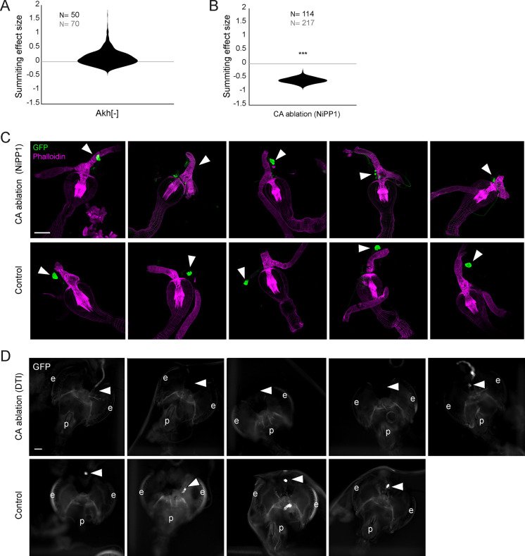 Figure 3—figure supplement 1.