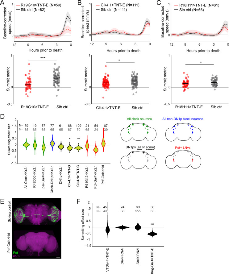 Figure 2—figure supplement 1.