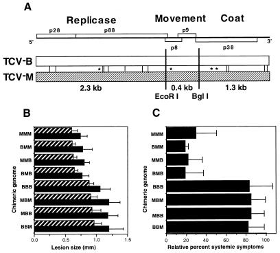 FIG. 1