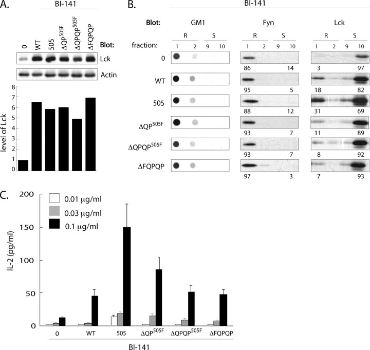 FIGURE 11.