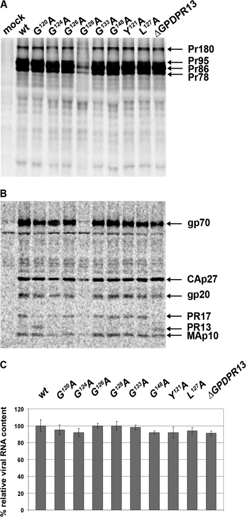 Fig 5