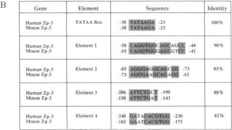 graphic file with name pnas01041-0017-b.jpg