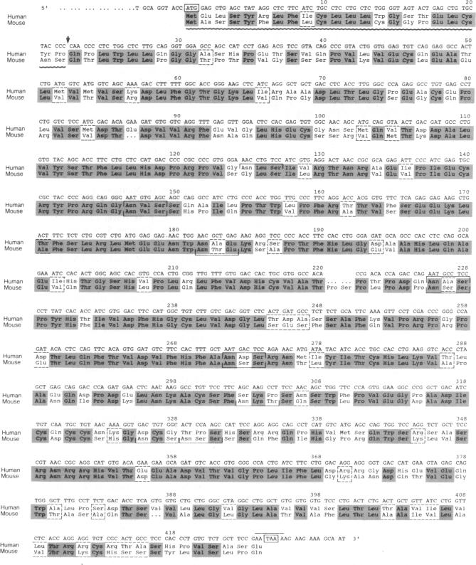 graphic file with name pnas01041-0018-a.jpg