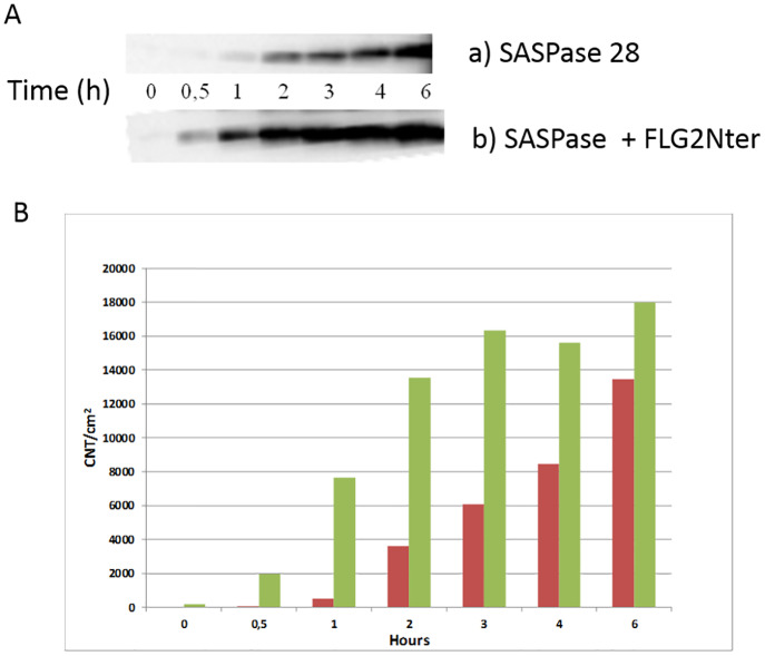 Fig 6