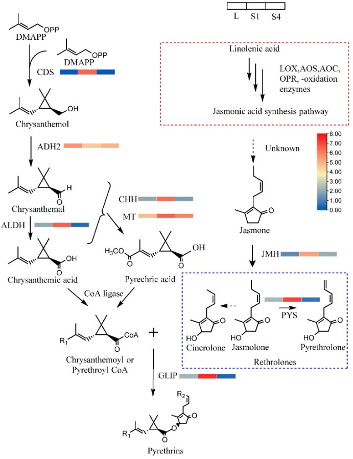 Figure 4