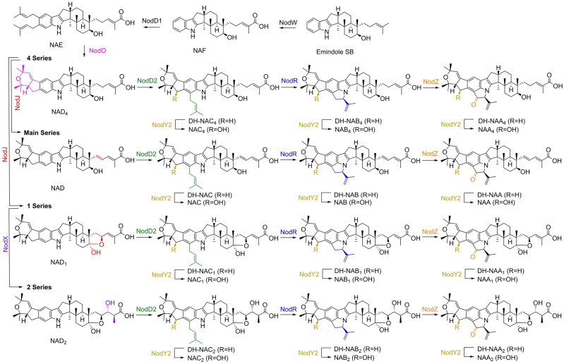 Scheme 1