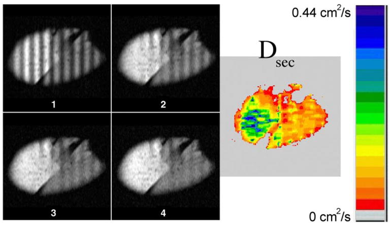 Fig. 2