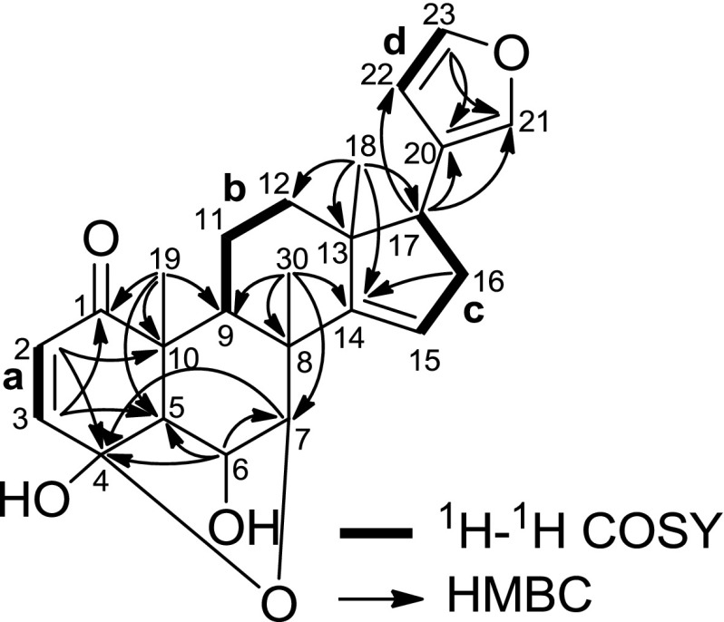 Fig. 2