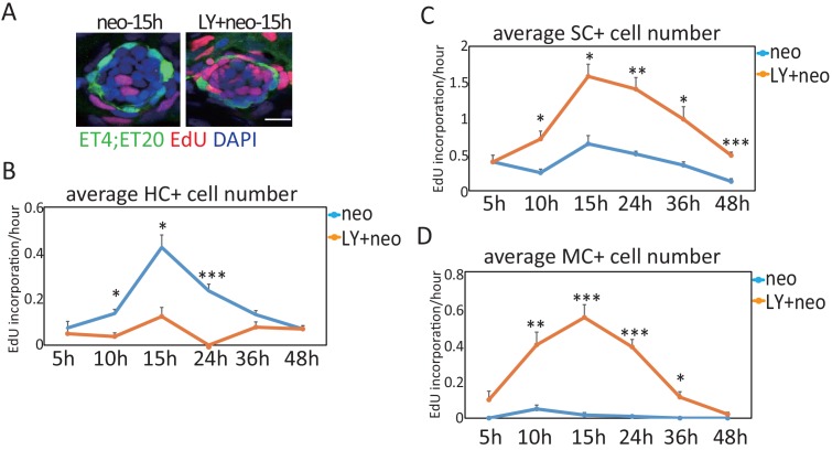 Figure 1—figure supplement 2.