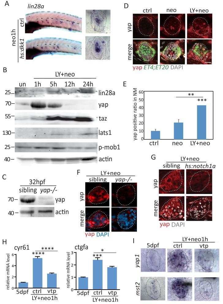 Figure 2—figure supplement 2.