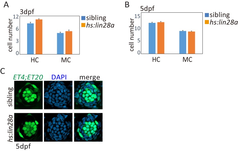 Figure 4—figure supplement 1.