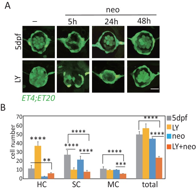 Figure 1—figure supplement 1.