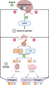 Figure 1